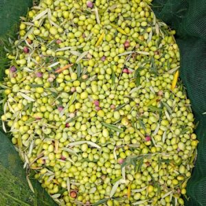 Olio
